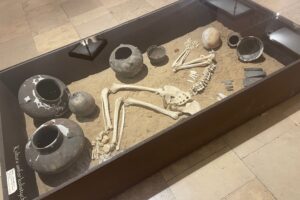 13.06.2025. Muzeum Zamkowe w Sandomierzu. Europejskie Dni Archeologii / Fot. Grażyna Szlęzak - Radio Kielce