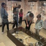 13.06.2025. Muzeum Zamkowe w Sandomierzu. Europejskie Dni Archeologii / Fot. Grażyna Szlęzak - Radio Kielce