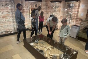 13.06.2025. Muzeum Zamkowe w Sandomierzu. Europejskie Dni Archeologii / Fot. Grażyna Szlęzak - Radio Kielce