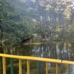 Kąpielisko w Golejowie Fot. Grażyna Szlęzak - Radio Kielce