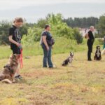 07.06.2025. Kielce. Kynologicznej Soboty / Fot. Katarzyna Wdowska