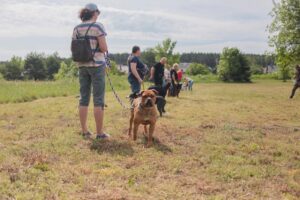 07.06.2025. Kielce. Kynologicznej Soboty / Fot. Katarzyna Wdowska