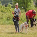 07.06.2025. Kielce. Kynologicznej Soboty / Fot. Katarzyna Wdowska