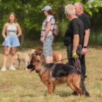 07.06.2025. Kielce. Kynologicznej Soboty / Fot. Katarzyna Wdowska