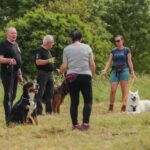 07.06.2025. Kielce. Kynologicznej Soboty / Fot. Katarzyna Wdowska