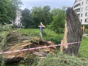 Kielce. Burza, drzewo, złamane drzewa / Fot. Jarosław Kubalski - Radio Kielce