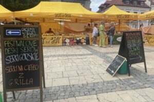 07.06.2025. Sandomierz. Festiwal Wina i Sera / Fot. Grażyna Szlęzak - Radio Kielce
