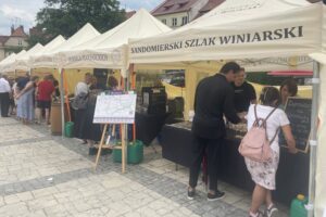 07.06.2025. Sandomierz. Festiwal Wina i Sera / Fot. Grażyna Szlęzak - Radio Kielce