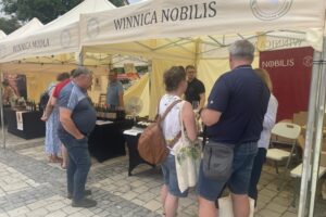 07.06.2025. Sandomierz. Festiwal Wina i Sera / Fot. Grażyna Szlęzak - Radio Kielce