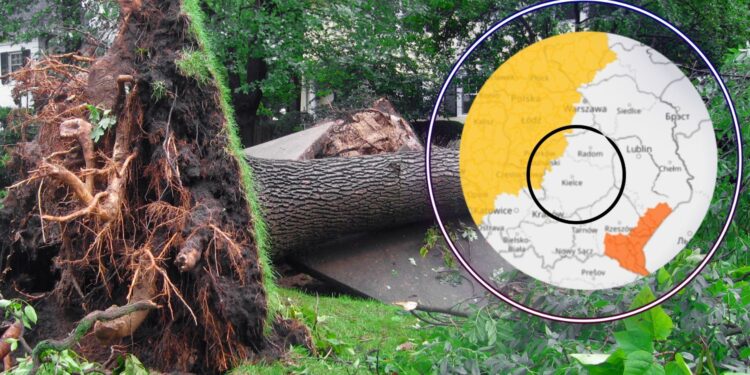 Synoptycy ostrzegają! Świętokrzyskie poza strefą