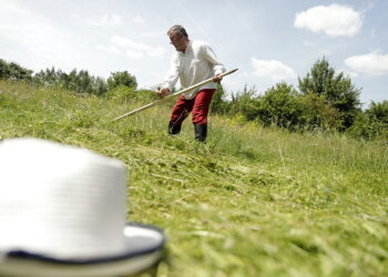 Pierwszy pokos, potraw, otawa – co znaczą na wsiach?