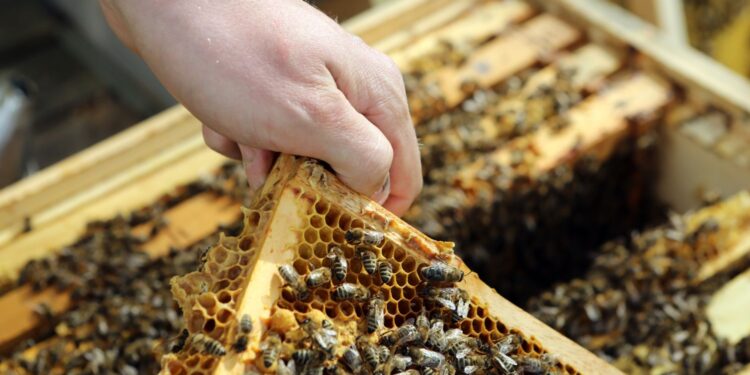 xr:d:DAFfPLzBGDQ:865,j:8087741586324615005,t:23091107