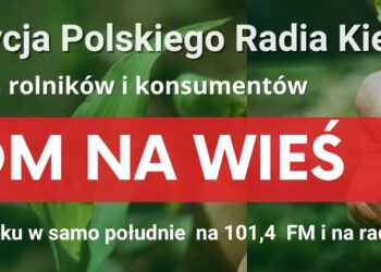 Wnioski o przyznanie „renty wdowiej” na finiszu - Radio Kielce