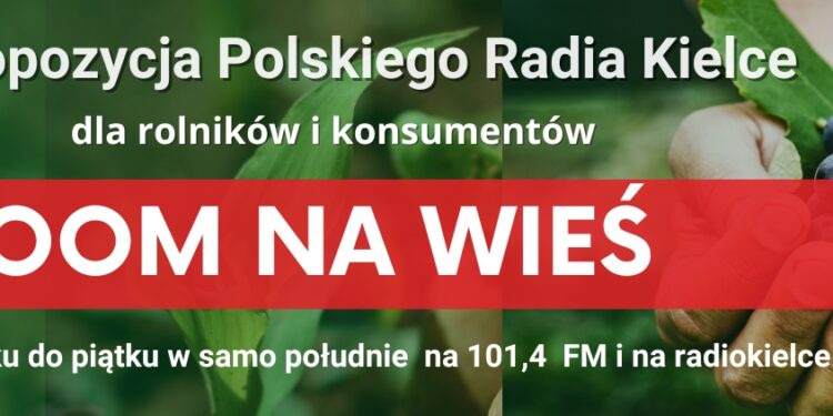 Które nawozy tańsze, a które droższe? - Radio Kielce