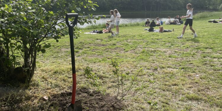 06.05.2025. Końskie. Akcja sadzenia drzew i krzewów / Fot. Magdalena Galas-Klusek - Radio Kielce