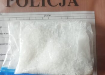 Fot. Policja Świętokrzyska