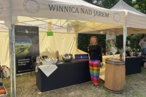 21.06.2025. Sandomierz. Piknik Kwitnących Winorośli / Fot. Grażyna Szlęzak - Radio Kielce