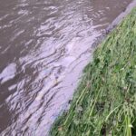 03.06.2025. Kielce. Silnia. Plama oleju / Fot. Straż Pożarna