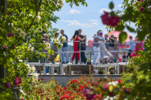 21.06.2025. Kielce. Ogród Botaniczny. Druga edycja festiwalu tanga „Festivalito de Rosas” / Fot. Organizatorzy