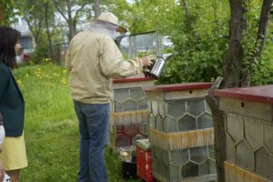 24.06.2025 "Miejskie miodobranie z uli z recyclingu" na Politechnice Świętokrzyskiej./ Fot. Aleksandra Kwaśniewska - Radio Kielce