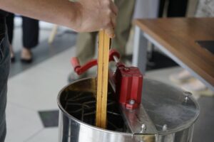 24.06.2025 "Miejskie miodobranie z uli z recyclingu" na Politechnice Świętokrzyskiej./ Fot. Aleksandra Kwaśniewska - Radio Kielce