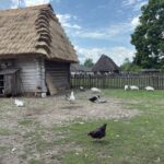 01.06.2025. Tokarnia. Wiejskie Zoo / Fot. Jowita Plech - Radio Kielce