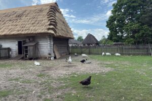 01.06.2025. Tokarnia. Wiejskie Zoo / Fot. Jowita Plech - Radio Kielce