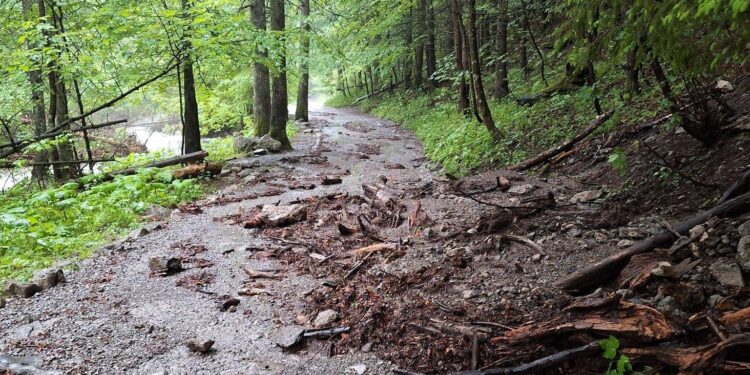 Tatry, szlak / Fot. TPN - Facebook