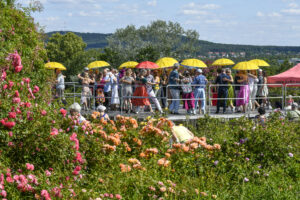 21.06.2025. Kielce. Ogród Botaniczny. Druga edycja festiwalu tanga „Festivalito de Rosas” / Fot. Organizatorzy