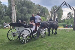 20.07.2025. Krzyżanowice. III parada karet i zaprzęgów konnych / Fot. Anna Głąb - Radio Kielce