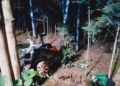 11.07.2025. Rembów w powiecie kieleckim. Wypadek / Fot. policja