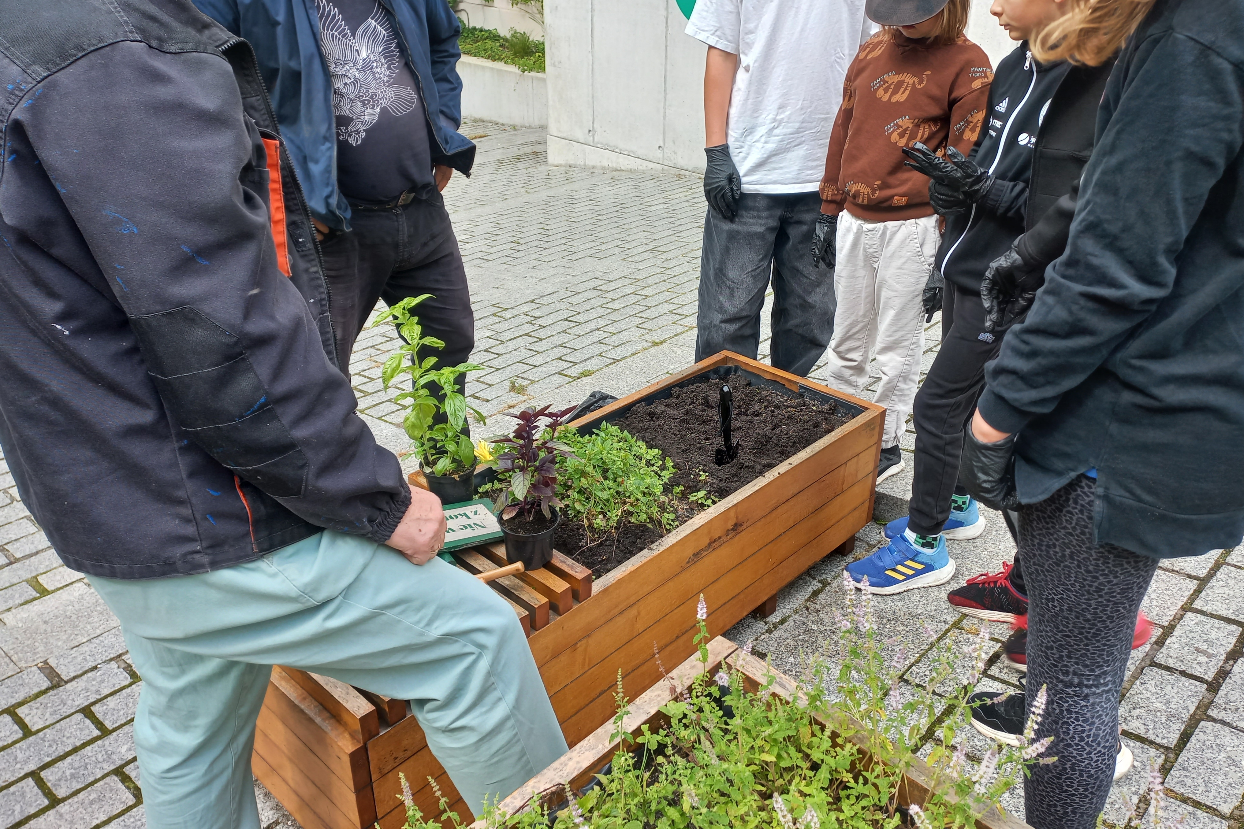 Dzieci pomogły stworzyć miejski zielnik