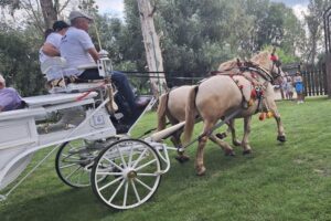 20.07.2025. Krzyżanowice. III parada karet i zaprzęgów konnych / Fot. Anna Głąb - Radio Kielce