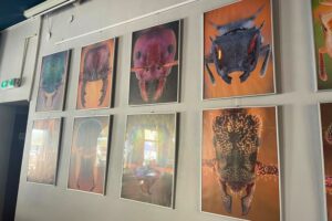 13.07.2025. Sandomierz. Sandomierskie Centrum Kultury Wystawa fotograficzna Kamila Stajniaka „Mrówki. Makrofotografie” / Fot. Grażyna Szlęzak - Radio Kielce