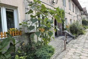 Kolejne dwie kamienice na Kolonii Robotniczej w Starachowicach przejdą kompleksowy remont / Fot. starachowice.eu