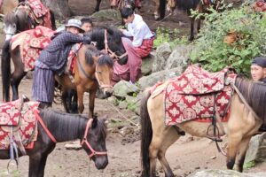 Muzyczne podróże przez świat. Bhutan / Fot. Fot. Majka Szura