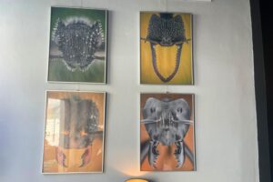 13.07.2025. Sandomierz. Sandomierskie Centrum Kultury Wystawa fotograficzna Kamila Stajniaka „Mrówki. Makrofotografie” / Fot. Grażyna Szlęzak - Radio Kielce