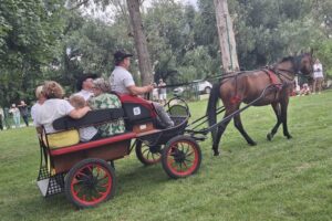 20.07.2025. Krzyżanowice. III parada karet i zaprzęgów konnych / Fot. Anna Głąb - Radio Kielce