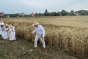 26.07.2025. Sandomierz. Odtworzenie staropolskich żniw / Fot. Grażyna Szlęzak - Radio Kielce