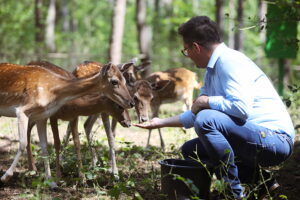 Daniele w ogrodzie zoologicznym w Lisowie / Fot. Witor Taszłow - Radio Kielce