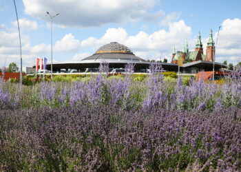 Kielce jak Prowansja