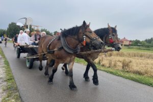 26.07.2025. Sandomierz. Odtworzenie staropolskich żniw / Fot. Grażyna Szlęzak - Radio Kielce