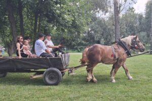 20.07.2025. Krzyżanowice. III parada karet i zaprzęgów konnych / Fot. Anna Głąb - Radio Kielce