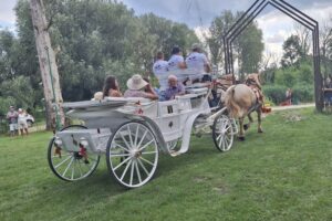 20.07.2025. Krzyżanowice. III parada karet i zaprzęgów konnych / Fot. Anna Głąb - Radio Kielce