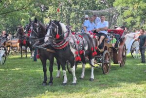 Parada konna w Krzyżanowicach
