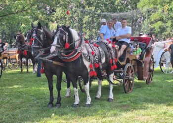 Parada konna w Krzyżanowicach