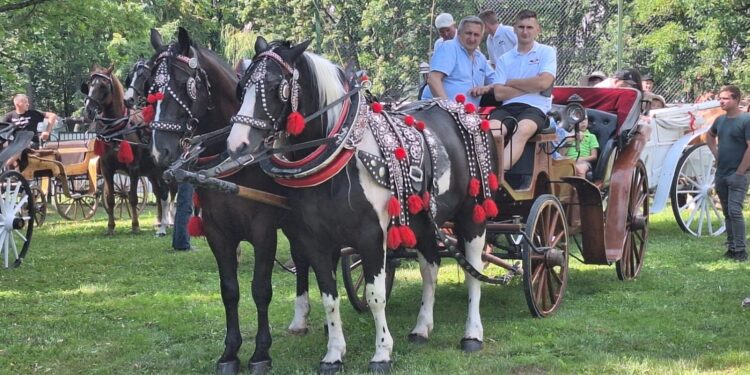 Parada konna w Krzyżanowicach