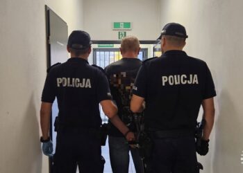 Upił psa, a później bestialsko zabił. Mężczyzna usłyszał zarzuty
