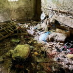 Upił psa, a później bestialsko zabił. Mężczyzna usłyszał zarzuty - Radio Kielce