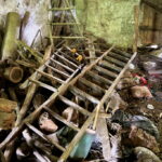 Upił psa, a później bestialsko zabił. Mężczyzna usłyszał zarzuty - Radio Kielce